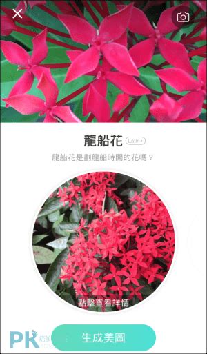 免費植物|PictureThis 拍照識花識別植物App，拍花樹葉照，辨識。